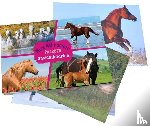  - Mijn 40 mooiste paarden - ainsichtkaarten