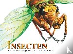 Barraclough, Susan - Insecten - Meest angstaanjagende