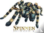 Spinnen en andere angstaanjagende beestjes