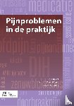 Keizer, D., Wilgen, C.P. van, Wijhe, M. van - Pijnproblemen in de praktijk