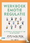 Boelens, Elisa, Van Malderen, Eva, Debeuf, Taaike, Volkaert, Brenda, Verbeken, Sandra, Wante, Laura, Weymeis, Henk, Van Beveren, Marie-Lotte, Braet, Caroline - Werkboek emotieregulatie bij kinderen en adolescenten in de praktijk