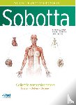  - Sobotta - Collectie anatomieposters