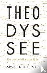 Boer, Arnoud den - Theodyssee