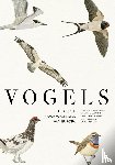 Svensson, Lars, Mullarney, Killian, Zetterström, Dan - Vogels