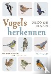 Haan, Nico de - Vogels herkennen