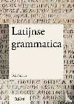 Panhuis, Dirk - Latijnse grammatica