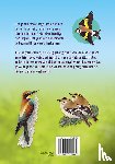 TRACQUI, Valerie - Vogels herkennen en observeren