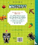  - Minecraft pixel kleurpret