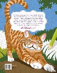 Zottino, Marica - Katten - Kleurplaten op nummer