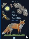 Müller, Thomas - Uil, vos en vleermuis - Nachtdieren