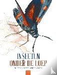 Lasserre, Francois - Insecten onder de loep