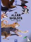 Ollivier, Reina, Claes, Karel - De allersnelste