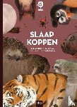 Ollivier, Reina, Claes, Karel - Slaapkoppen