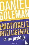 Goleman, Daniël - Emotionele intelligentie in de praktijk