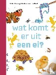 Versteeg, Isabel - wat komt er uit een ei?