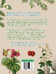 Simmonds, Monique, Howes, Melanie-Jayne, Irving, Jason - Botanisch Handboek Medicinale Planten