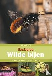 Breugel, Pieter van - Basisgids wilde bijen