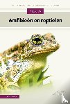 Stumpel, Ton, Strijbosch, Henk - Amfibieën en reptielen - West en Centraal Europa | determinatiesleutels | 150 soorten