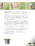 Meijrink, Mark, Hartgers, Eric, Engels, Mark, Muusse, Theo - Orchideeën in Nederland