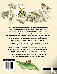 Albouy, Vincent - Natuurmysteries ontrafeld
