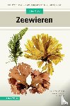 Loos, Luna van der, Karremans, Mart, Perk, Frank - Veldgids Zeewieren