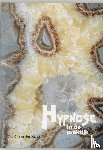 Heide, Jan C. van der - Hypnose - in de praktijk