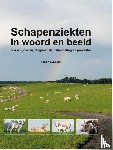 Vellema, Piet - Schapenziekten in woord en beeld