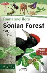 Muys, Bart, Llobet, Toni, Baeté, Hans - Fauna and Flora of the Sonian forest