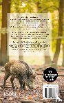 Roots - De mooiste boswandelingen van Nederland