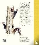 Raedt, Walter De - Vogel, nest & ei
