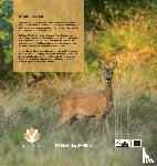 Busstra, Wilco, Beaufort, Fleur de, Heek, Maaike van - NATUUR DICHTBIJ