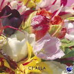 Challa, B-J - I love tulips