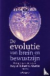 Revis, P. - De evolutie van brein en bewustzijn - het pionierswerk van Jung en Teilhard de Chardin