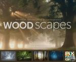 Woodscapes