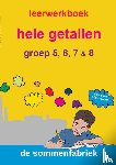 Plas, Liesbeth van der - Leerwerkboek