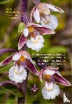 Kreutz, C.A.J. - Orchideeën van de Benelux - Veldgids