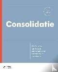 De Lembre, Erik, Podevijn, Sadi, Mannekens, Marleen, Everaert, Patricia, Verhoeye, Jan - Consolidatie