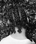 Wyk, Farren van, Dahmani, Taous - Mixedness is my Mythology