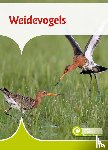 Roebers, Geert-Jan - Weidevogels