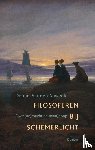 Auweele, Dennis vanden - Filosoferen bij schemerlicht