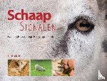 Glorie, Frank, Holleman, Jolanda, Klein Swormink, Berrie - Schaapsignalen