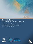 United Nations: Economic Commission for Latin America and the Caribbean - Economic survey of Latin America and the Caribbean 2021