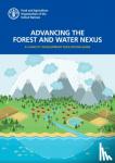 Eberhardt, Ute, Food and Agriculture Organization - Advancing the forest and water nexus