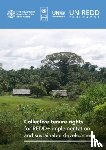 Bradley, Amanda, Food and Agriculture Organization, Fortuna, Serena - Collective tenure rights for REDD+ implementation and sustainable development