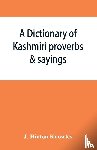 Hinton Knowles, J - A dictionary of Kashmiri proverbs & sayings