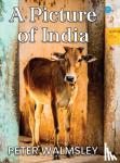 Walmsley, Peter - A Picture Of India