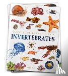 Wonder House Books - Animals - Invertebrates