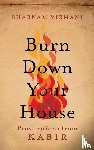 Virmani, Shabnam - Burn Down Your House