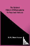 Waterhouse, G R - The Natural History Of Marsupialia Or Pouched Animals