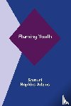 Hopkins Adams, Samuel - Flaming Youth